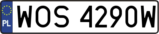WOS4290W