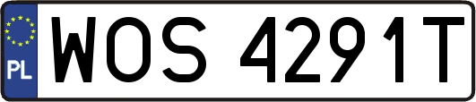 WOS4291T