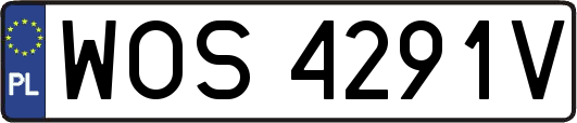WOS4291V