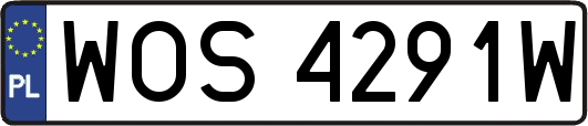 WOS4291W