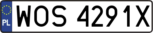 WOS4291X