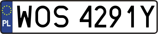 WOS4291Y