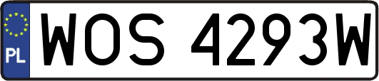 WOS4293W
