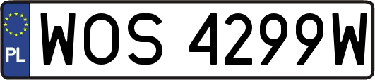 WOS4299W