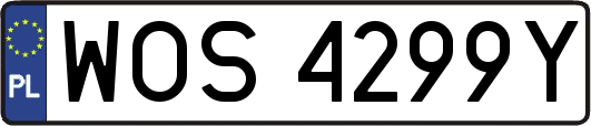 WOS4299Y
