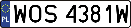 WOS4381W