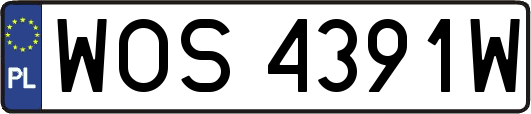 WOS4391W