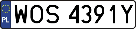 WOS4391Y