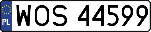 WOS44599