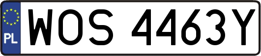 WOS4463Y