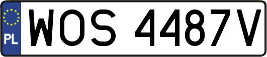WOS4487V