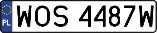 WOS4487W