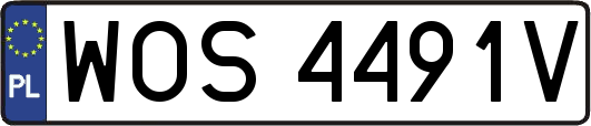WOS4491V