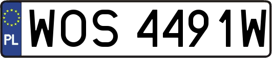 WOS4491W