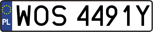WOS4491Y