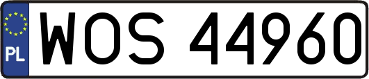 WOS44960