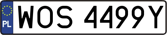 WOS4499Y