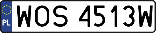 WOS4513W