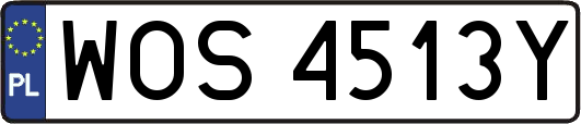 WOS4513Y