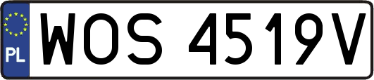 WOS4519V