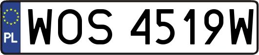 WOS4519W