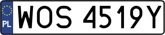 WOS4519Y