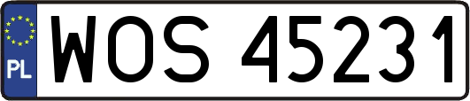 WOS45231