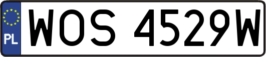 WOS4529W