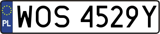 WOS4529Y