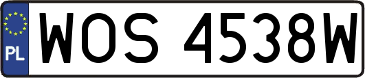 WOS4538W