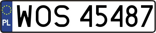 WOS45487