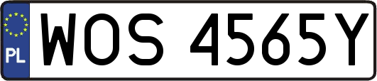 WOS4565Y