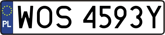 WOS4593Y