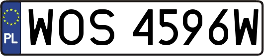 WOS4596W