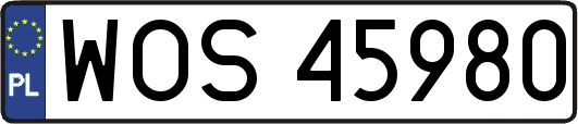 WOS45980