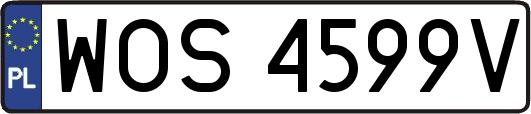 WOS4599V