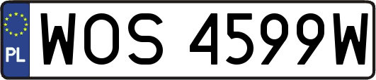 WOS4599W