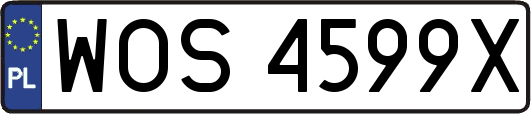 WOS4599X