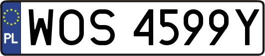 WOS4599Y