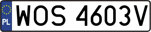 WOS4603V