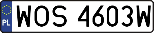 WOS4603W