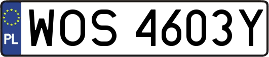 WOS4603Y