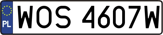 WOS4607W