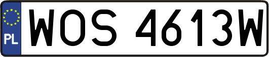 WOS4613W