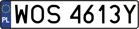 WOS4613Y