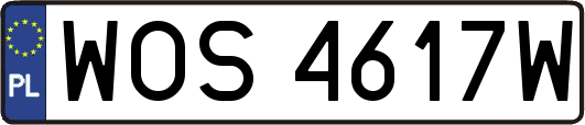 WOS4617W