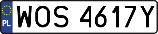 WOS4617Y