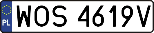 WOS4619V