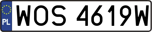 WOS4619W