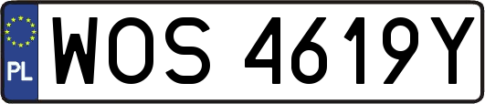WOS4619Y
